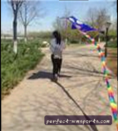 郑阳