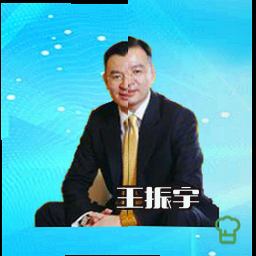 王振宇